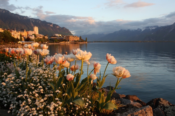 Недвижимость с видами на Женевское озеро, недвижимость у Женевского озера