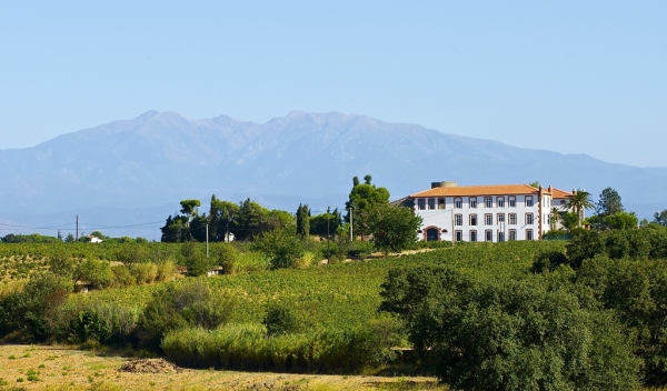 Предлагающее красивые виды на море и Пиренеи имение с виноградниками во Франции