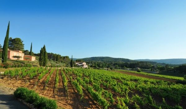 Расположенное в нескольких километрах от средиземноморского побережья поместье с виноградниками во Франции