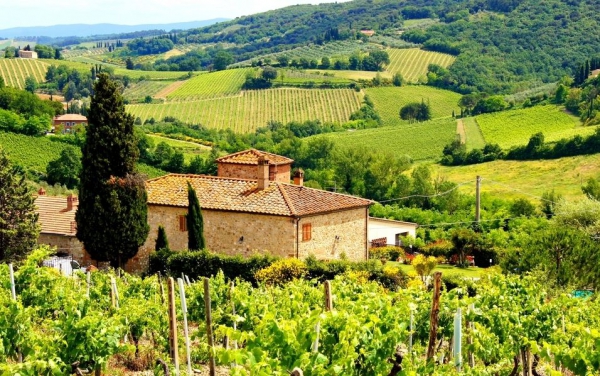 Виноградники в Италии: стиль жизни и надежная инвестиция