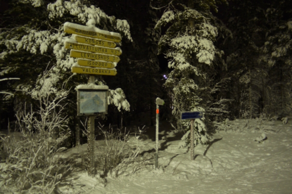 Навигация и освещение на лыжных трассах